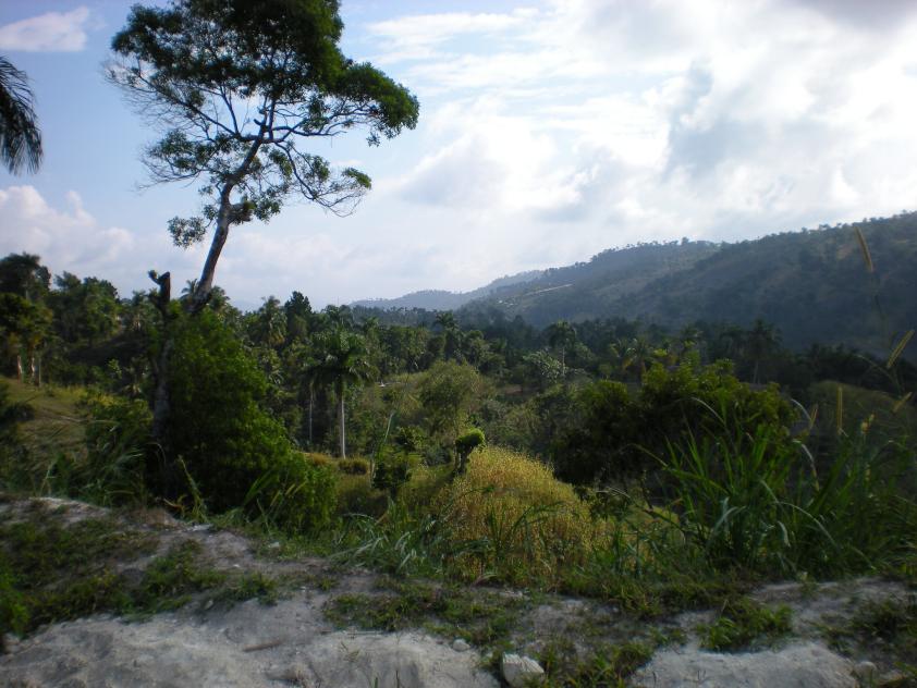 View of the mountains