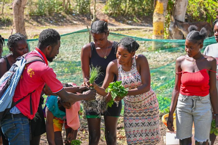 An agronomist hands seedlings to a Haitian woman while other women look on.