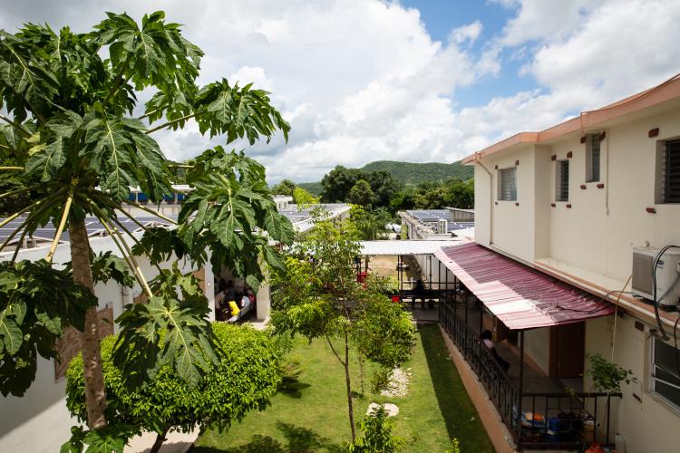 View of clean bright hospital buildings around a grassy courtyard under blue sky. A papaya tree is in the left foreground.