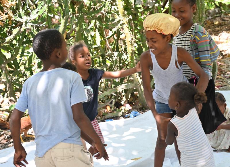 A half-dozen Haitian children laugh and play together in dappled shade, in front of a cactus hedge. They range in age from about 2 to 10.